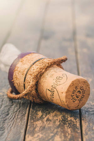 cork of champagneの素材