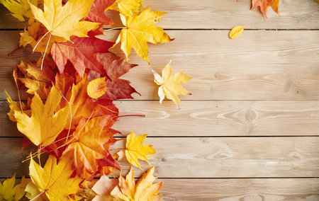 bright autumn leaves on a wooden backgroundの素材
