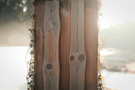 Detailed view of aged wooden posts, showing texture and moss growth, bathed in gentle sunlight creating a rustic, natural feel.の写真素材