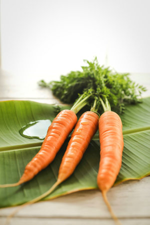 Three vibrant orange carrots with their green leafy tops are artfully arranged on a large, textured green leaf, suggesting freshness and natural beauty.の写真素材