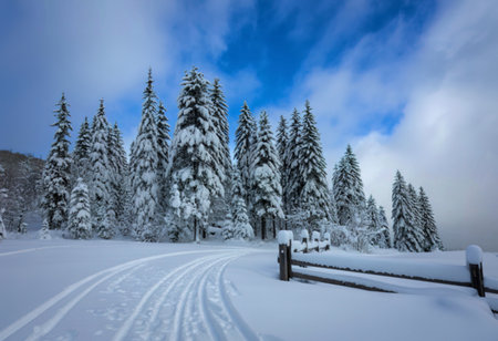 A winding snowy path leads through a dense forest of snow-covered evergreen trees under a cloudy...