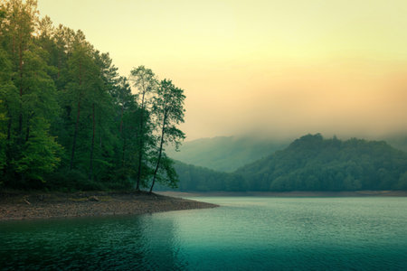 A tranquil lake reflects the soft morning light, with a dense, misty forest bordering its calm waters and distant hills shrouded in fog.の写真素材