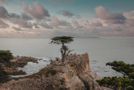 A serene landscape featuring a solitary tree on a rugged cliffside overlooking the calm sea under a...