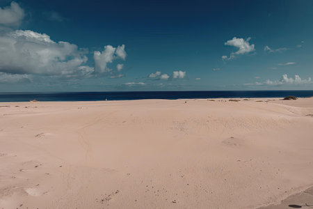 A tranquil beach scene featuring a vast sandy shore that stretches towards a deep blue ocean under a...