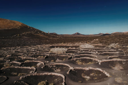 The image depicts a vast, ancient terraced landscape with circular patterns, set against a backdrop...