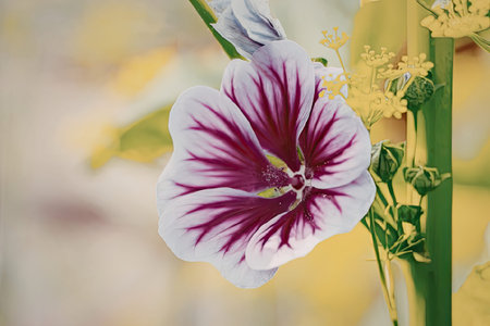 A close-up view of a vibrant pink flower with purple stripes, set against a blurred green and yellow...