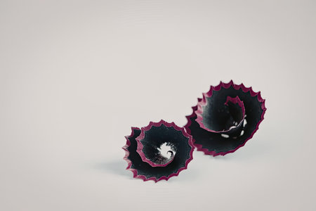A pair of spiral earrings with purple and black colors