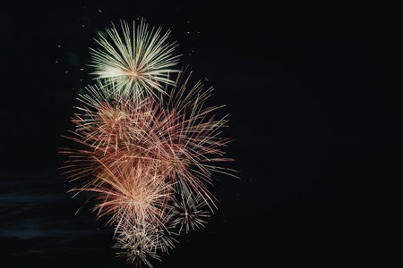 A stunning display of colorful fireworks erupting against a dark night sky, showcasing bursts of...