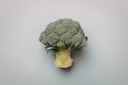 A vibrant green broccoli crown with a thick stem and florets, set against a plain white background.