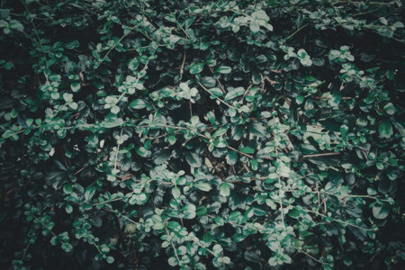 A close-up view of lush green leaves densely packed together, creating a vibrant and textured background.