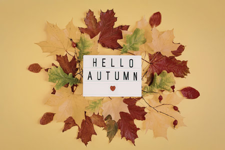 A vibrant arrangement of autumn leaves surrounds a white card with the text 'HELLO AUTUMN' on a bright yellow background.