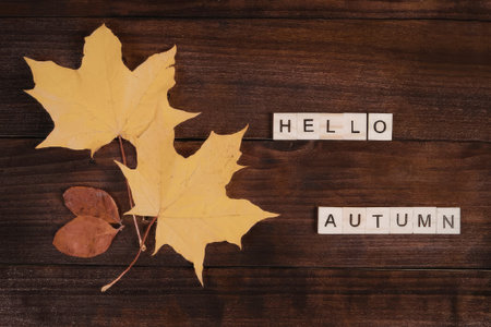 The image depicts a warm and cozy autumn scene with yellow and orange leaves on a wooden background, accompanied by the words 'Hello Autumn'.