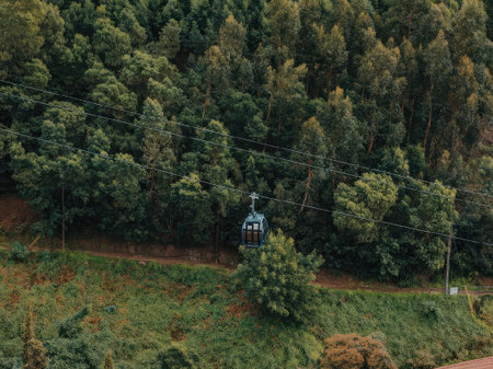 An aerial view of a cable car traveling through a dense forest with lush greenery and trees.