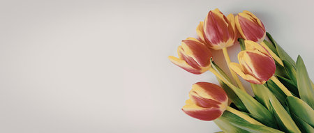 The image features a bouquet of tulips with vibrant red and yellow petals, placed on a clean white background. The tulips are positioned on the right side of the image, leaving ample negative space on the left.