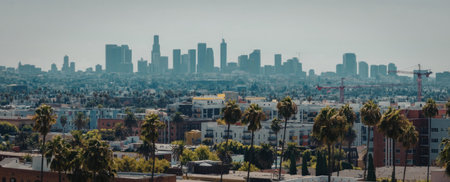 A cityscape view of Los Angeles with palm trees in the foreground and a hazy skyline in the background.