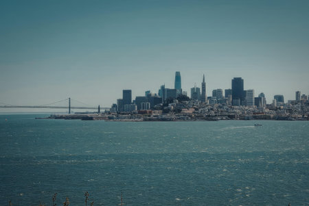 A scenic view of the San Francisco city skyline with a bridge and body of water in the foreground.