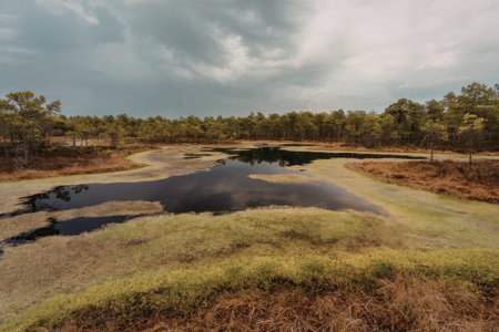 Golf course landscape featuring a water hazard with lush green grass and trees surrounding it under a cloudy sky.