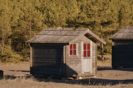 Small wooden cabin with red window shutters and a white door stands amidst tall trees in a serene forested landscape.
