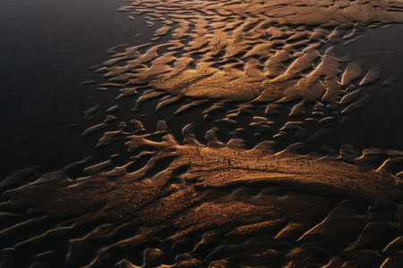 Sand patterns on the beach at sunrise or sunset feature golden light highlighting the texture and natural beauty of the landscape.