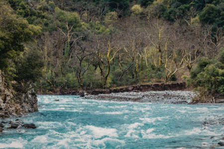Serene river flows rapidly through lush greenery and rocky terrain with vibrant blue water and surrounding trees creating a peaceful and natural scenery.