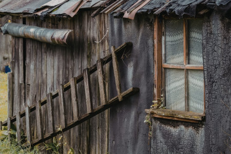 Old wooden shed with worn wooden ladder leaning against weathered exterior wall featuring textured surface and aged corrugated metal roofing material.