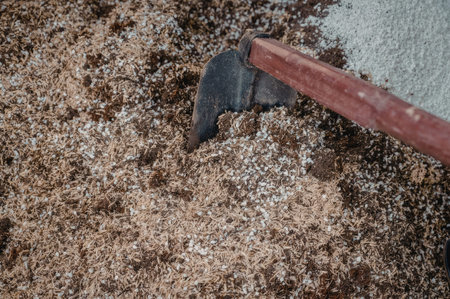 a shovel with a red handle digging into the ground with small white objects scattered around