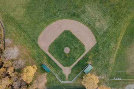 aerial view of a baseball field with green grass and a pink area, surrounded by trees and other foliage