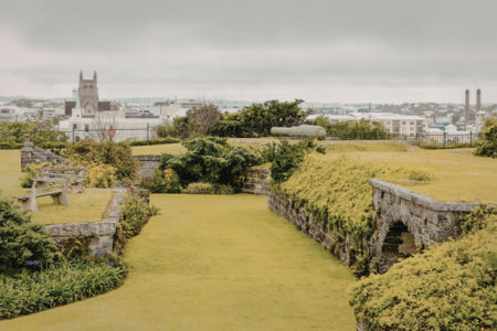 a green field with a stone wall and a city in the background. the field is surrounded by trees and bushes. there is a large stone building in the distance.