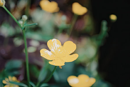A close-up of a vibrant yellow flower with green stem and leaves, set against a blurred background of more flowers and foliage.