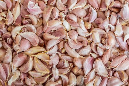 Close Up Full Frame Fresh Garlic Cloves Bulb for background A lot of fresh Garlic Cloves Bulbの写真素材