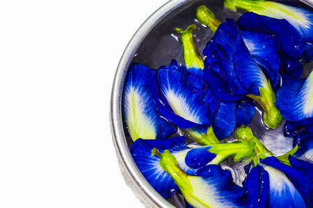 A lot of Butterfly pea or Blue pea flower on water in the silver bowl  Butterfly pea floower on water preparation arting or cookingの写真素材
