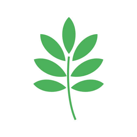 Simple and flat leaf illustration materialのイラスト素材