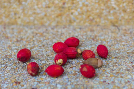 Fruitsの写真素材