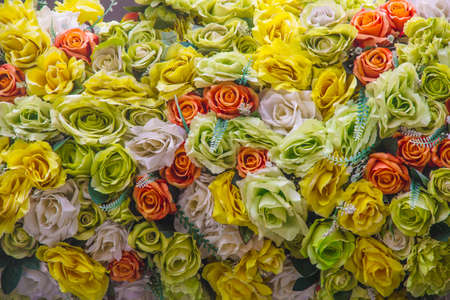 flowersの写真素材