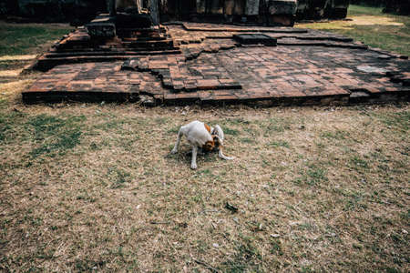 panomwan ancient castle at thailandの写真素材