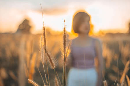 sunset.の写真素材