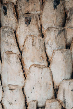 wood texture backgroundの写真素材