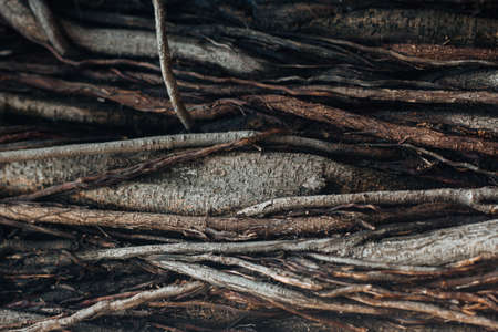 wood texture backgroundの写真素材
