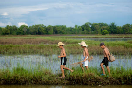 three boy play in nature