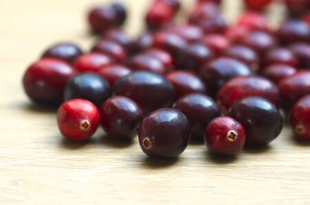 Cranberryの写真素材