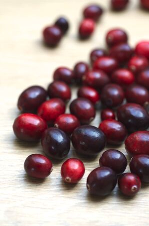 Cranberryの写真素材