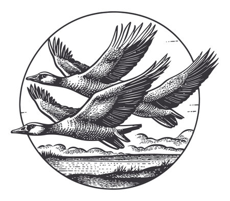 Discover a vintage vector illustration featuring three birds in flight over a serene landscape. Ideal for nature-inspired designs and projects.のイラスト素材