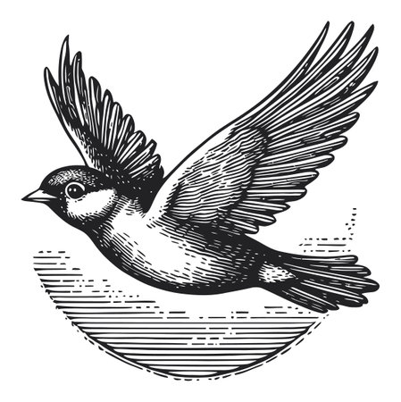 This vintage vector drawing showcases a beautifully detailed flying bird, capturing the essence of freedom and nature with elegant wings and dynamic motion.のイラスト素材