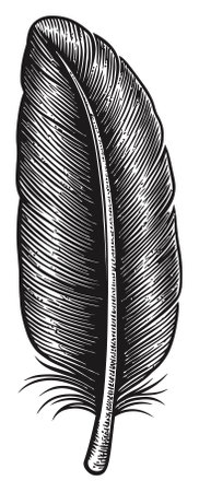 This black and white vector drawing showcases a well-defined feather with intricate line work and shading. Ideal for nature-themed projects or artistic designs.のイラスト素材