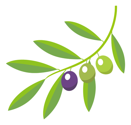 Oliveのイラスト素材