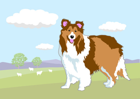 Sheep Dogのイラスト素材