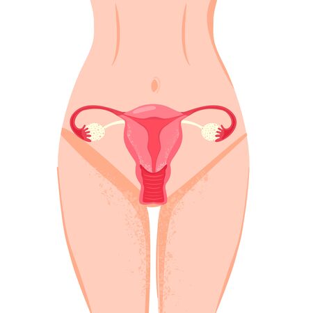 Health concept. Woman reproductive health illustration with woman body, groin of female and uterus. Vector illustration on white background.のイラスト素材