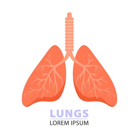 Lungs illustration. icon concept. Vector on white background.のイラスト素材