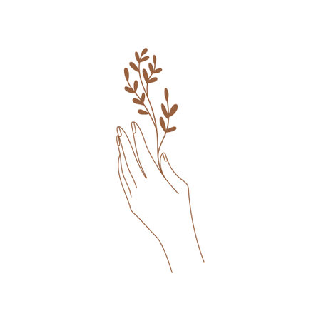 Minimal female hand in trendy linear style. Women's hand with branch. Vector linear boho icon for handmade products, jewelry, cosmetics, wedding concept illustrations etc. branding.のイラスト素材
