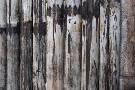 Bamboo fenceの写真素材
